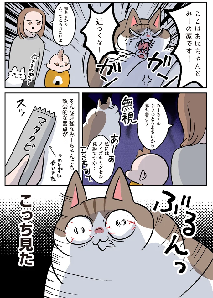 『マジレス幼児とモンペ猫 口達者な娘と過保護すぎる猫たちとの日常』 64.webp