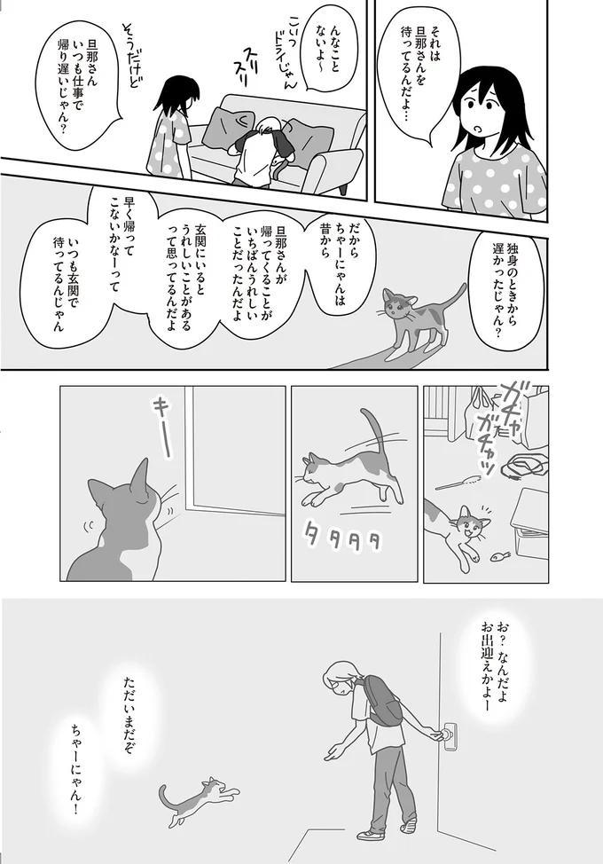 『世界一幸せな飼い主にしてくれた猫』 05-03.png