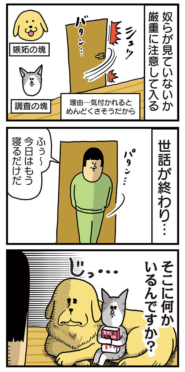 新入り猫」と先住犬が初対面！ しかし犬の目線の先には...／まめきち