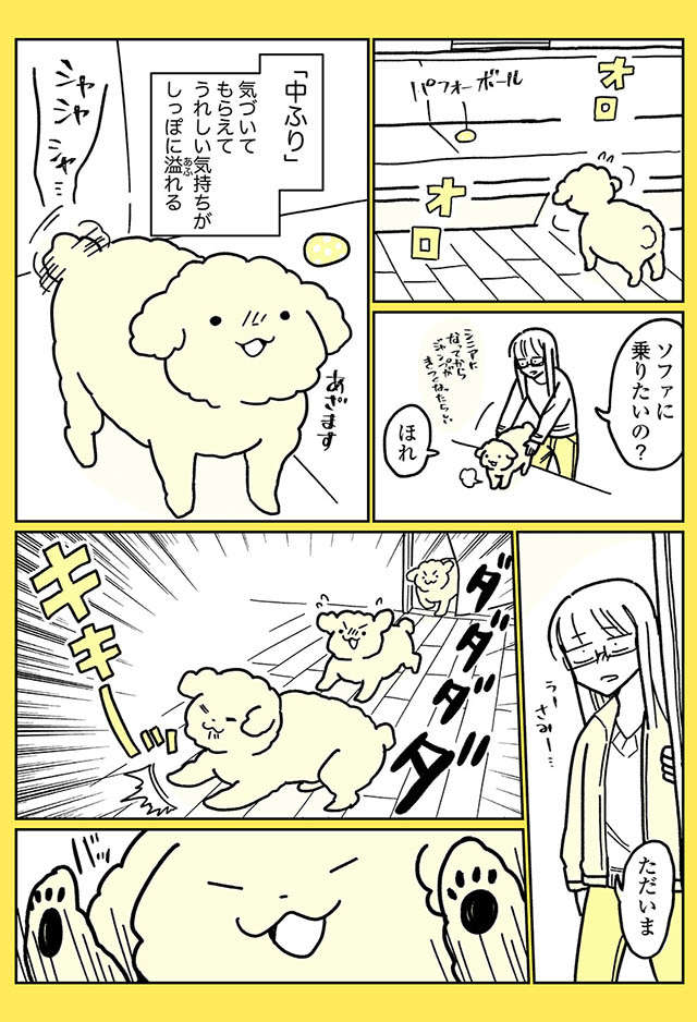 愛犬のしっぽの動きが感情豊か過ぎ。しかも感情で動くだけではなく...／うちのトイプーがアイドルすぎる。 toipu45_02.jpg