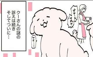 「喋ったぁああ」愛犬が発した言葉とは。しかしその後は...／うちのトイプーがアイドルすぎる。