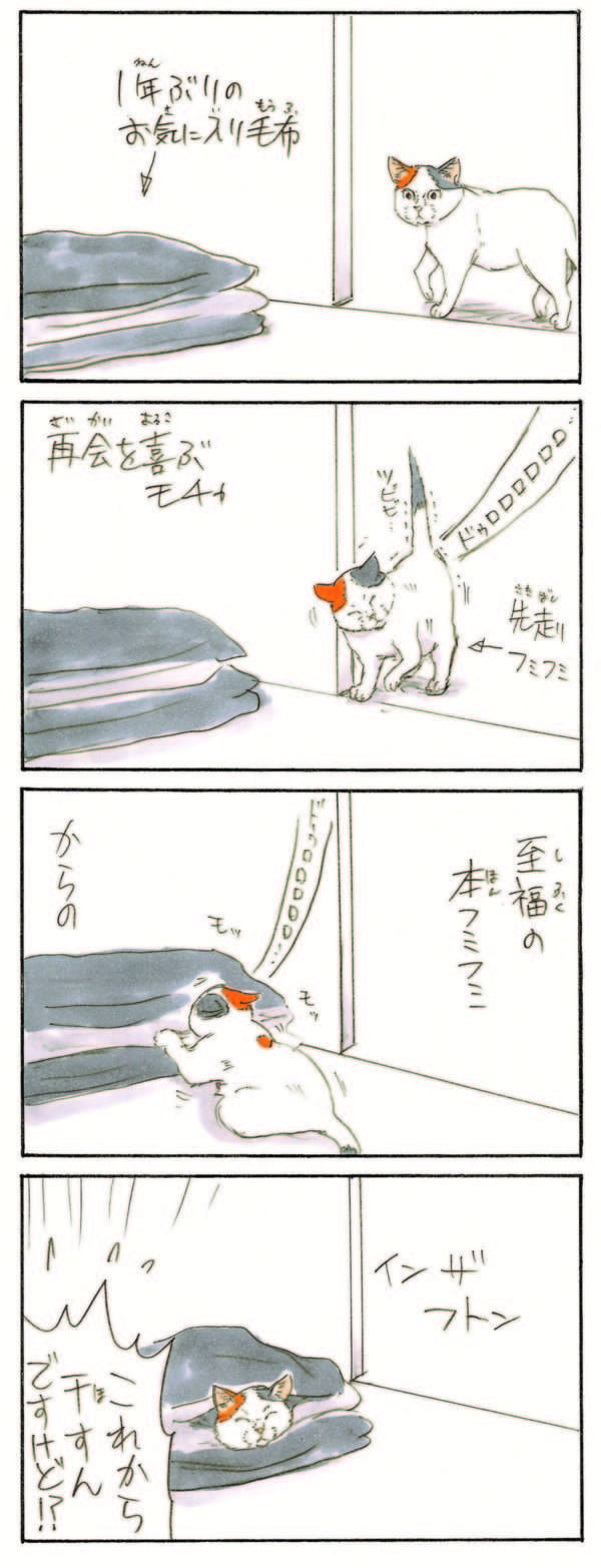 猫の「フミフミ」にも段階が。お気に入りの毛布に再会した愛猫だが...え!?／拾い猫のモチャ 1.jpg