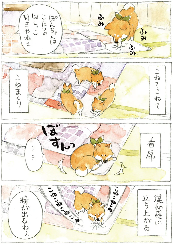 【悲報】わが家の柴犬はどんなに着飾っても「おじさん」になることが判明/柴犬ぽんちゃん、今日もわが道を行く2 09-01.png