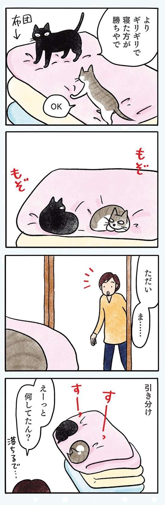 猫同士の「鼻ちゅー」で何が起きた？ そしてにらみ合いに...／黒猫ナノとキジシロ猫きなこ kuroneko_nano14-3.jpg