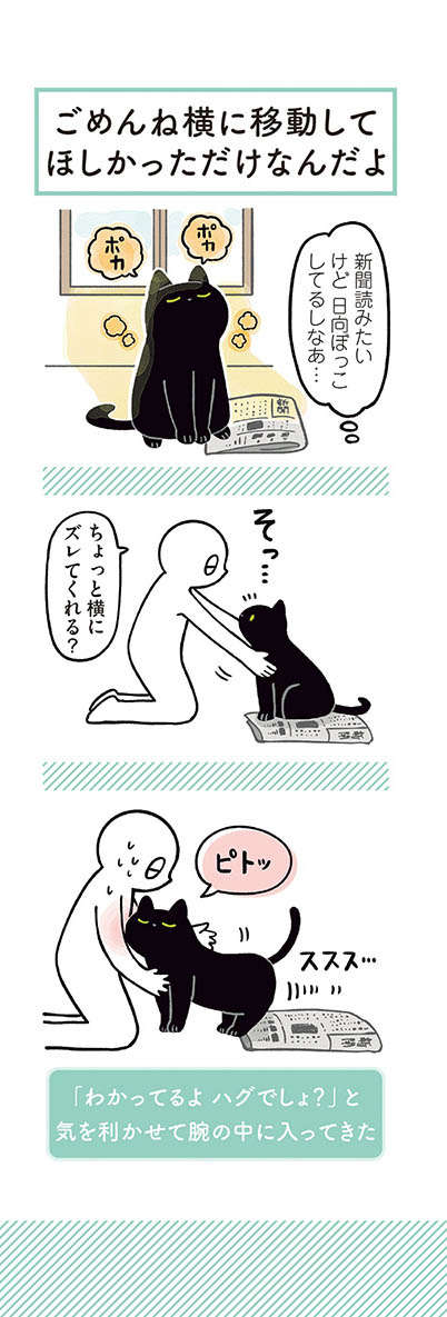 「ハグでしょ？」愛猫が気を利かせて腕の中へ。でもごめん...／黒猫ろんと暮らしたら2 13.jpg