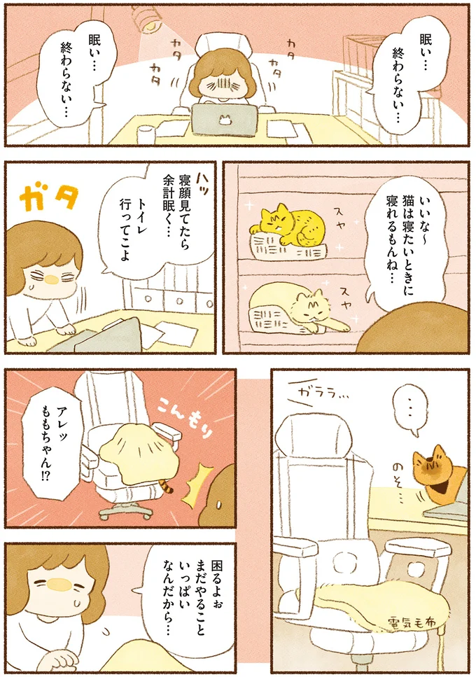 『しまねこ3姉妹と暮らしています　深まるきずな編』 13539122.webp