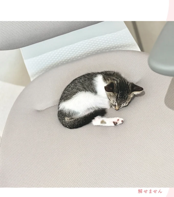 すぐ懐いてくれた保護猫。飼い主が仕事し始めたら...あああ！／ねこのつゆちゃんのことで頭がいっぱいです 16124253.webp