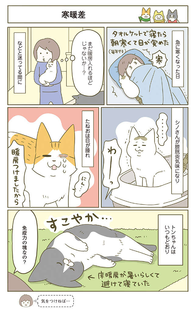 冬、服にもぐるのが好きな猫。タイツにもぐりこむも「いああああ」／うちの猫がまた変なことしてる。6 1.jpg