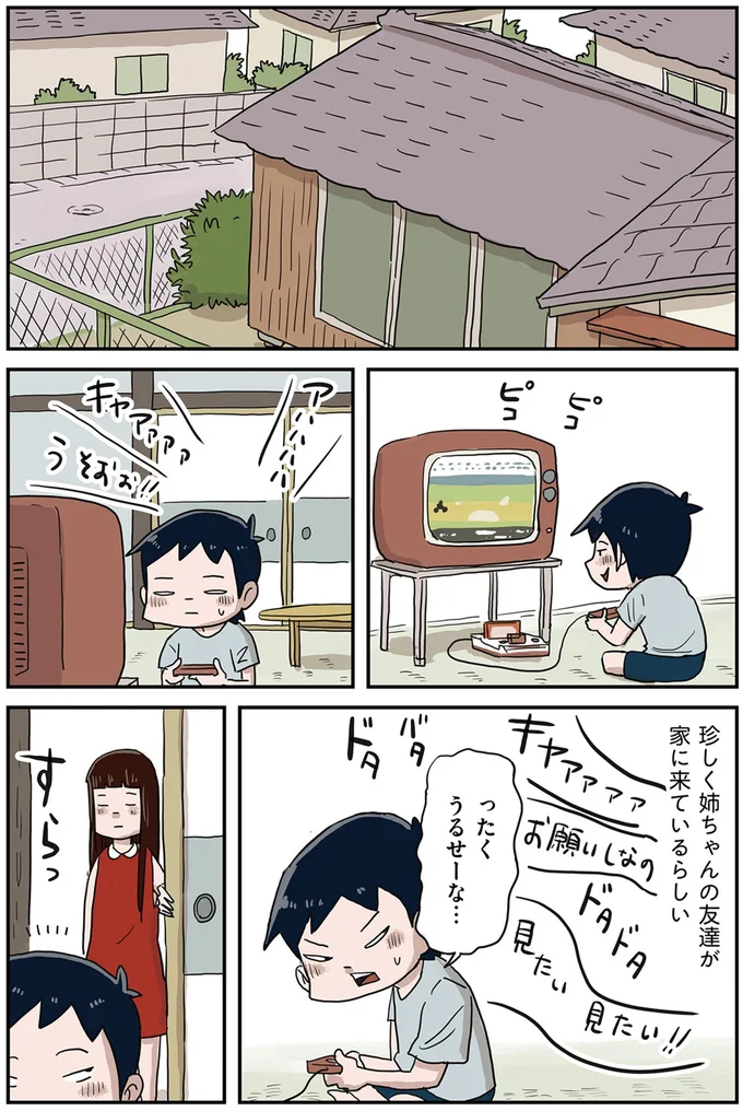 「弟が見たい」家に遊びに来た姉の友達。弟が犯した「契約違反」とは／しなのんちのいくる2 08-01.png