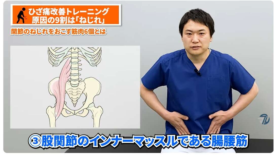 「膝の痛み」を抱える50代女性は42.1%。慢性的な膝の痛み解消のための簡単トレーニング【理学療法士が解説】 腸腰筋1.jpg