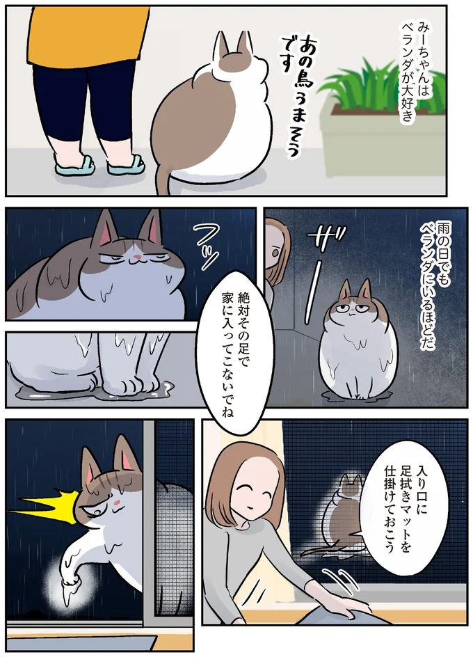 網戸を破り「どやぁ」ベランダ好きなモンペ猫の暴挙／マジレス幼児とモンペ猫 111.webp