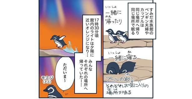 飼育員は見た!! 「帰宅すると目の前で...」恋の修羅場か!? ペンギンたちの愛の記録マンガ 28流血！すみだ水族館で恋の修羅場「下町ペンギン物語」第三話2.jpg