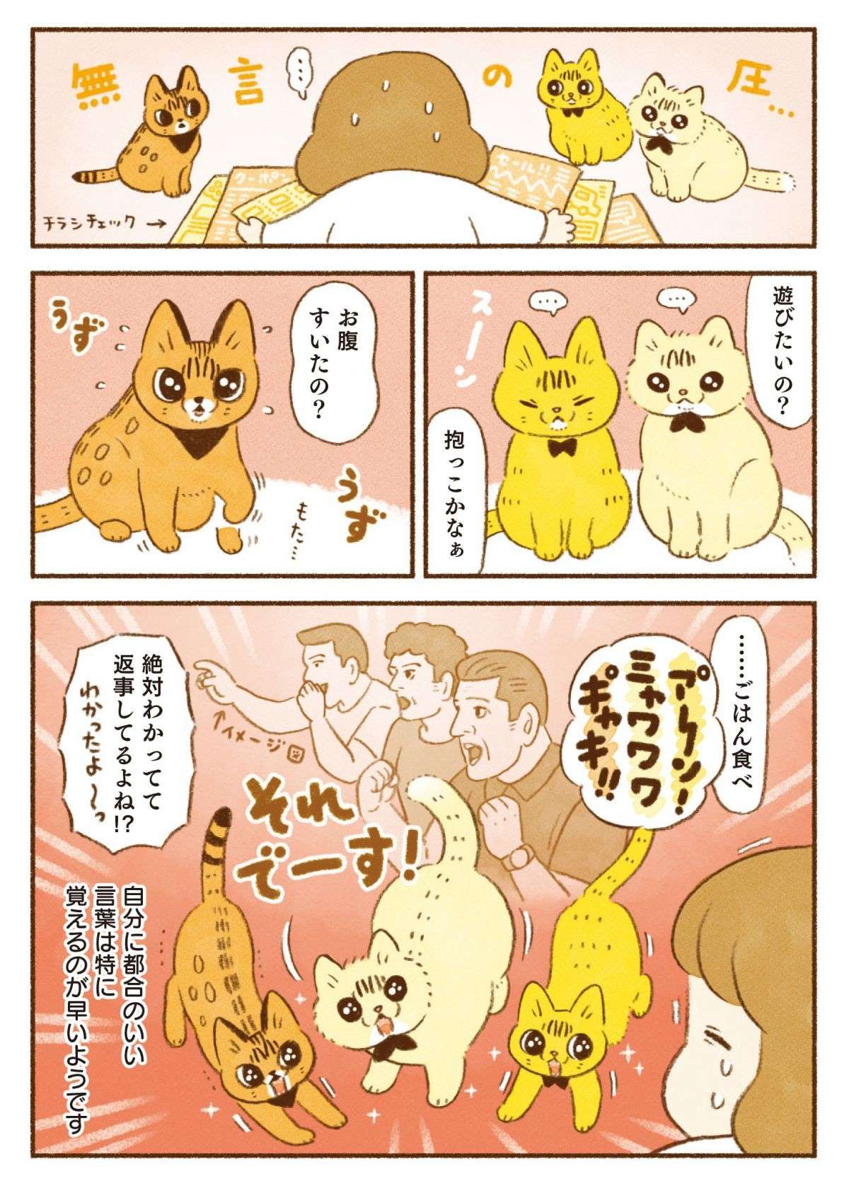 「絶対わかって反応している」猫たちは人間の言葉を覚えている？／しまねこ3姉妹と暮らしています 13.jpg