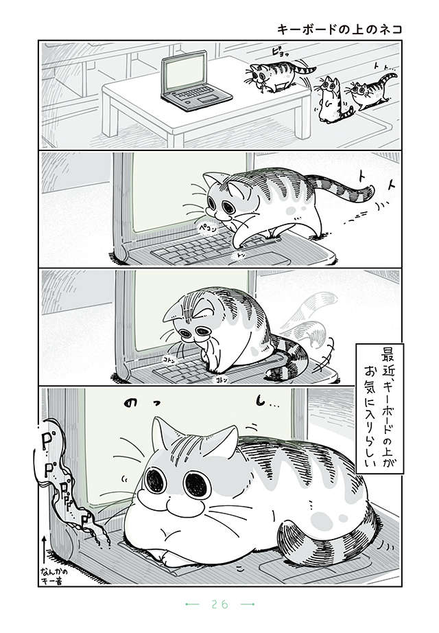 愛猫はキーボードの上がお気に入り。どかそうとしてみたら...？／夜は猫といっしょ2 yoruhanekoto2_p26.jpg