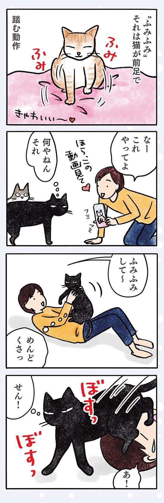 「ええの怒って」驚く猫。吸われてもモフられても我慢するのが定め!?／黒猫ナノとキジシロ猫きなこ kuroneko_nano10-7.jpg