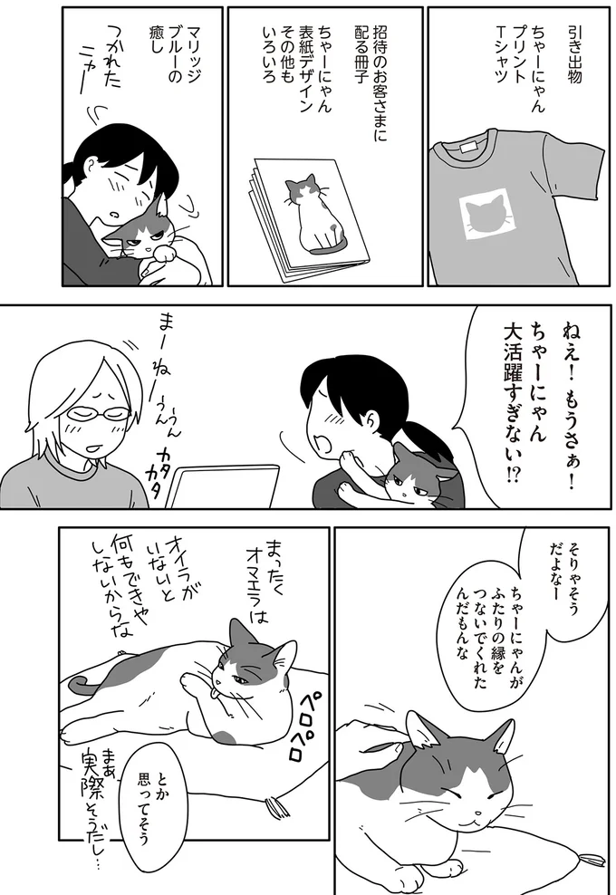 夫婦の縁をつないでくれた保護猫。マリッジブルーも癒してくれて...／世界一幸せな飼い主にしてくれた猫 03-02.png