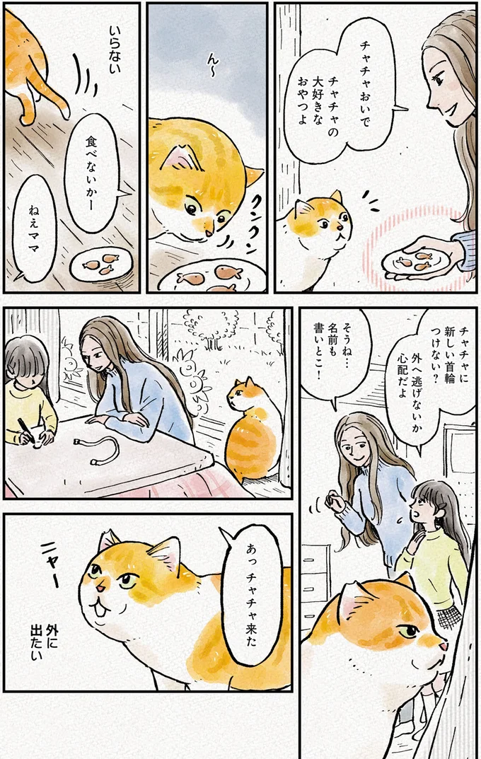 『元野良猫チャチャ 本日も見まわり中』 06-02.png