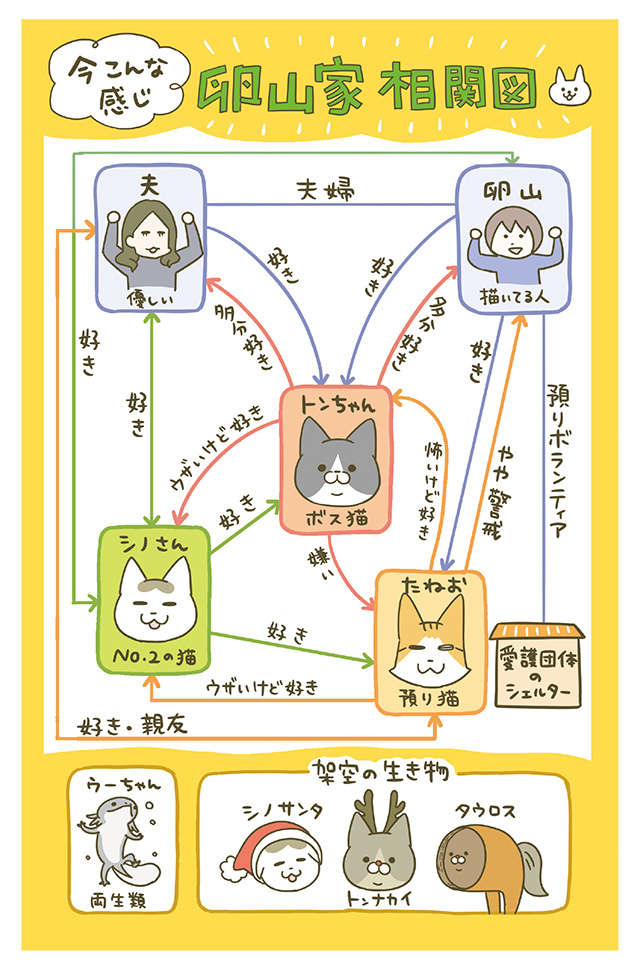 なでなでを途中でやめるとチラ見してくる猫。「その表情」がたまらない！／うちの猫がまた変なことしてる。6 1.jpg