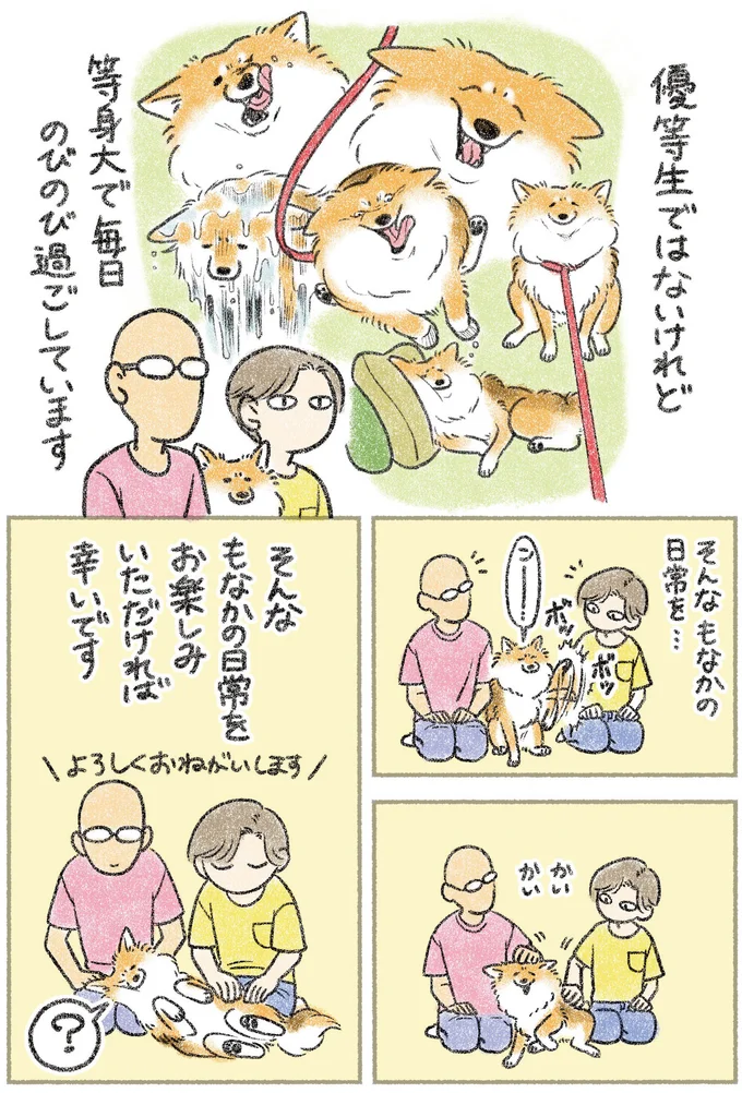 優等生じゃありませんがなにか？ マイペースな元保護犬・もなかとの生活／犬を揉む 12.png