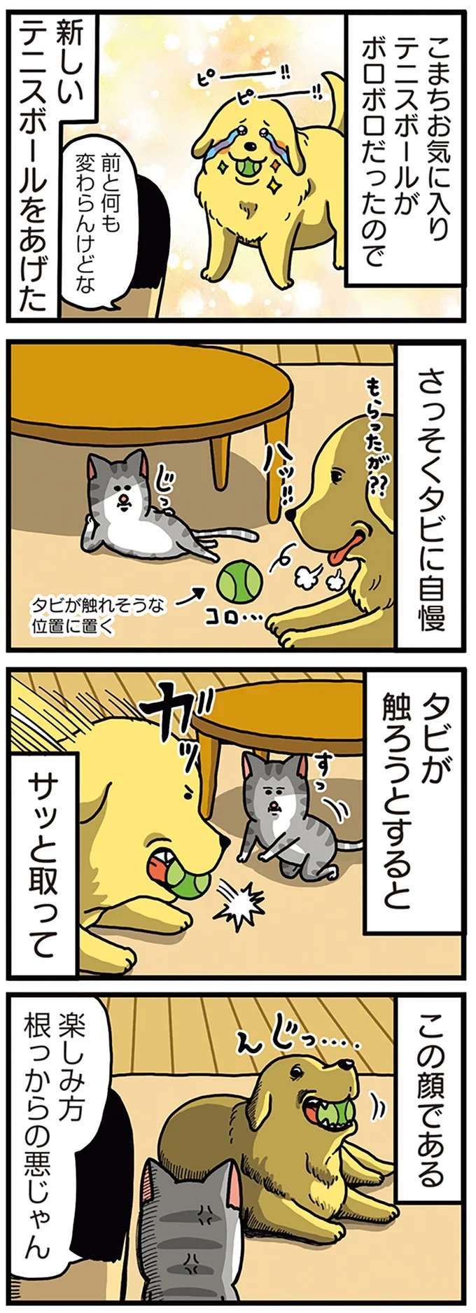 犬と猫の「煽りあい」。両方とも悪いな...！／まめきちまめこニートの日常 こまちとタビ5 mame10_1.jpeg