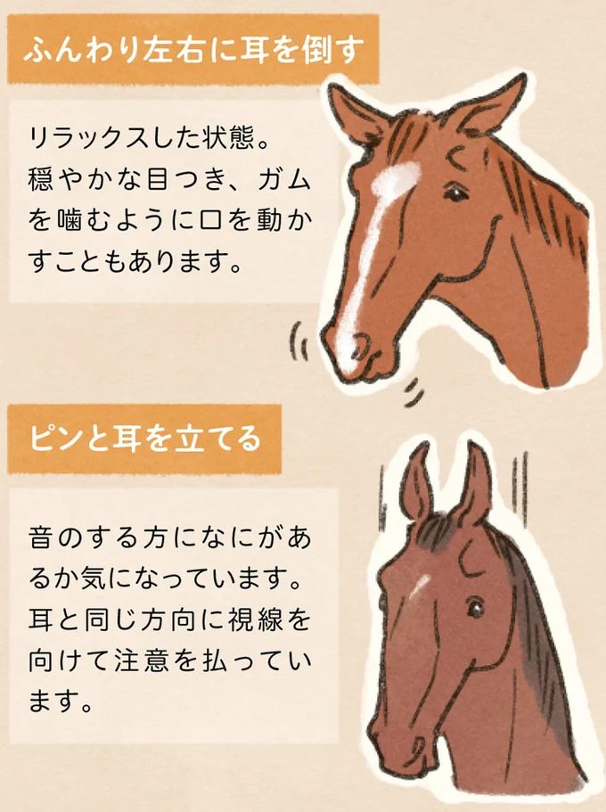 ドッキドキの乗馬初レッスン。指示通り歩かせようとしたら...あれ⁉／馬に乗らずにいられない！ 04-10.png