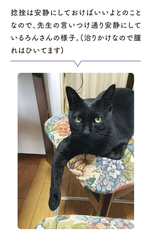 「思ってたんと違う！」猫を飼い始めたが...ごめん寝しないとか色々違う！／黒猫ろんと暮らしたら1 22.jpg