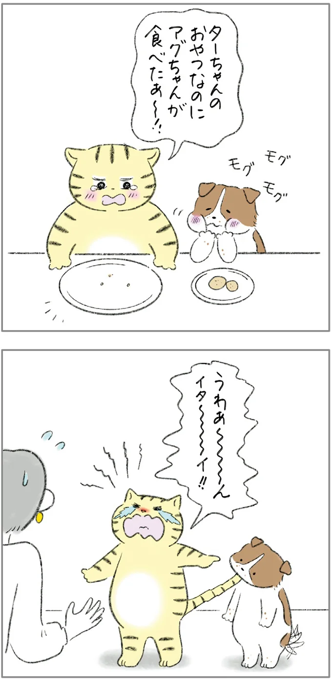 『ターとアグのしあわせ日和 元ノラ猫と元保護犬、ふたりは親友』 08-06.png