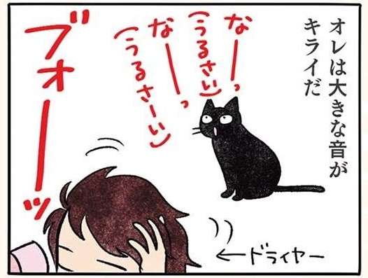 なーっ、なーっ、黒猫ナノは大きな音が嫌い。でも「一番うるさい」のは／黒猫ナノとキジシロ猫きなこ