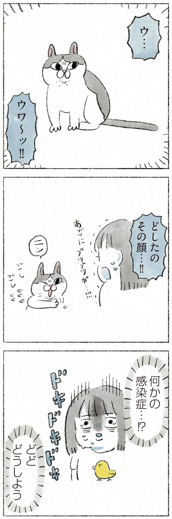 『うちの猫は今日も塩対応』 11.webp