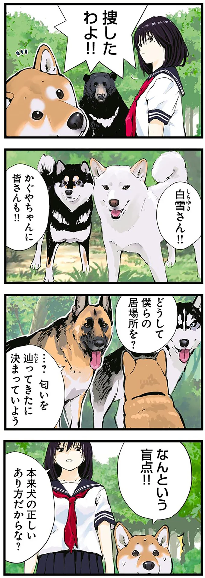 「柴犬の本来あるべき姿」とは。ハスキーの場合は...あれ？ ／世界の終わりに柴犬と 3.png