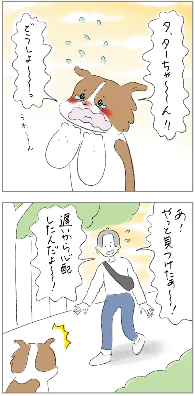 『ターとアグのしあわせ日和 元ノラ猫と元保護犬、ふたりは親友』 01-11.png