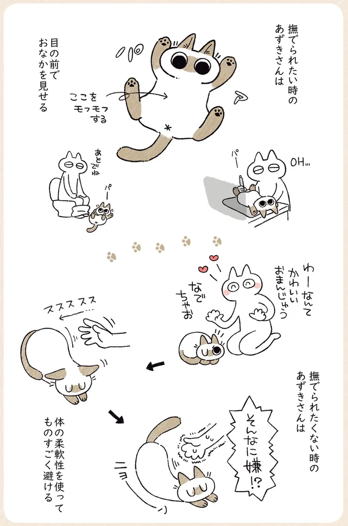 『シャム猫あずきさんは世界の中心』1〜2 05-03.png