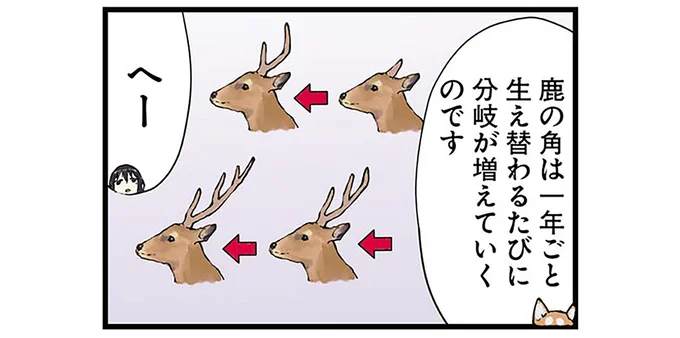 「強いオスの角とかけまして、雄鹿の恋愛事情とときます」その心は？／世界の終わりに柴犬と