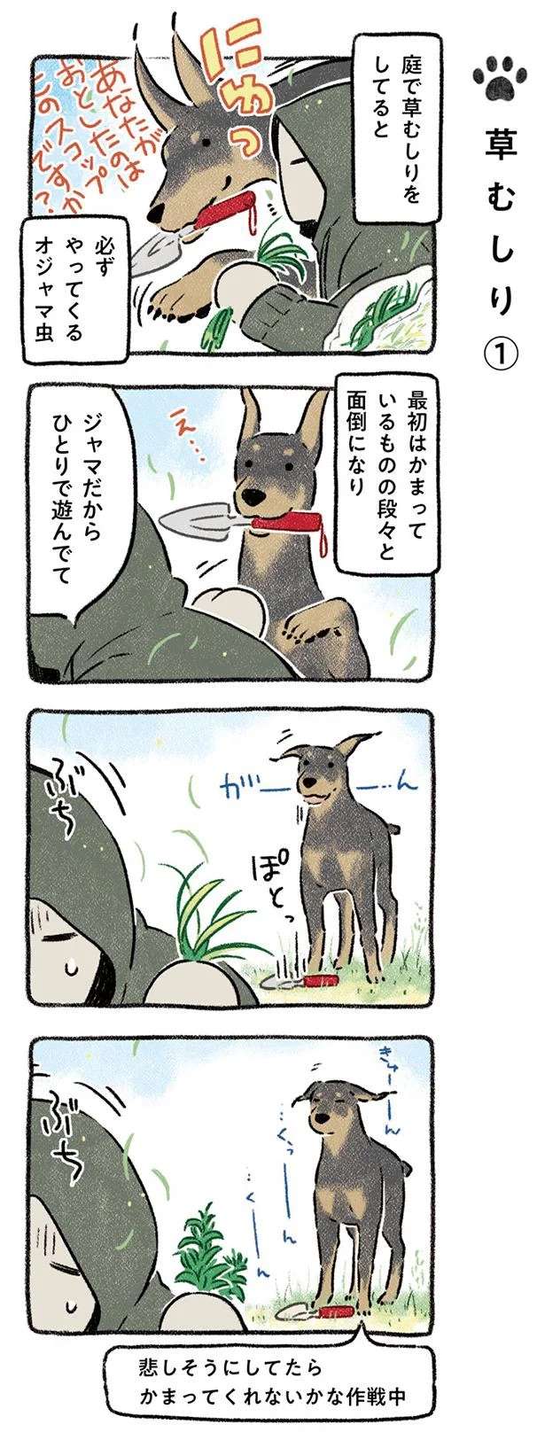 はっ...犬がかまってほしくて思いついた「作戦」。その内容は...！／ドベとノラ dobetonora2_1.jpeg