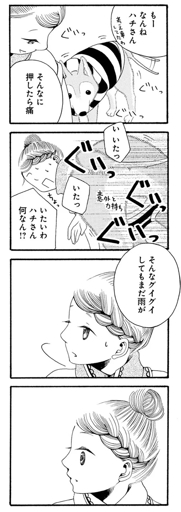 『96歳の柴犬ハチさんは、今日もお散歩しています。』 65.webp