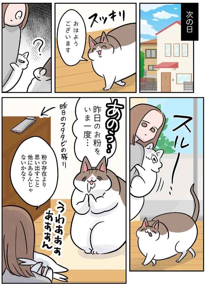 娘ちゃん以外は許さない！そんなモンペ猫が夢中になるもの／マジレス幼児とモンペ猫 69.webp