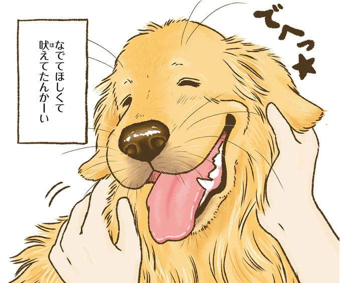 愛犬レトリバーは来客時に一応吠えるけど...めっちゃしっぽ振ってるのはなぜ／今日もゴールデンレトリバーに癒されて 15712359.webp