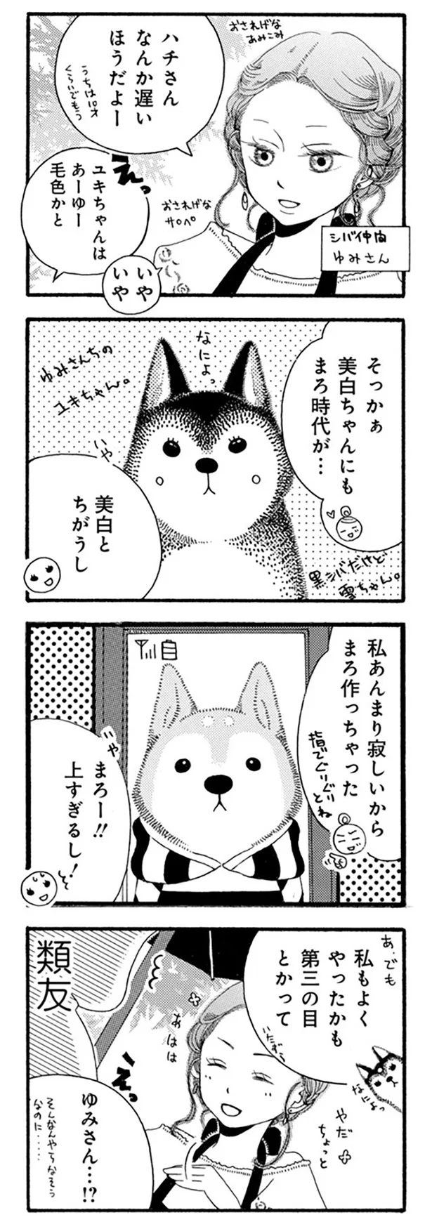 『96歳の柴犬ハチさんは、今日もお散歩しています。』 34.webp