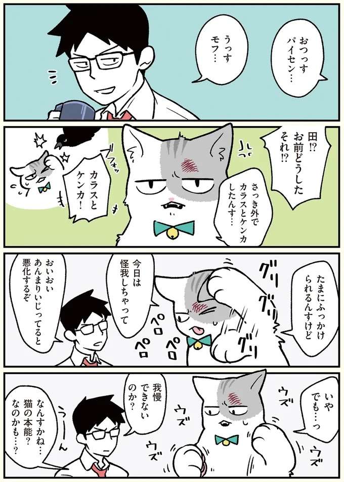 都市伝説化!? ケガした猫社員がエリザベスカラーをつけたら...／ブラック企業の社員が猫になって人生が変わった話 black21_1.jpeg