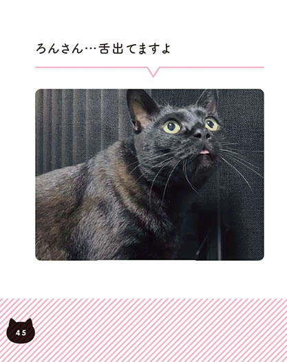 真夜中、猫が家の中で虫と対峙。お願い、手を出さないで...！／黒猫ろんと暮らしたら2 22.jpg