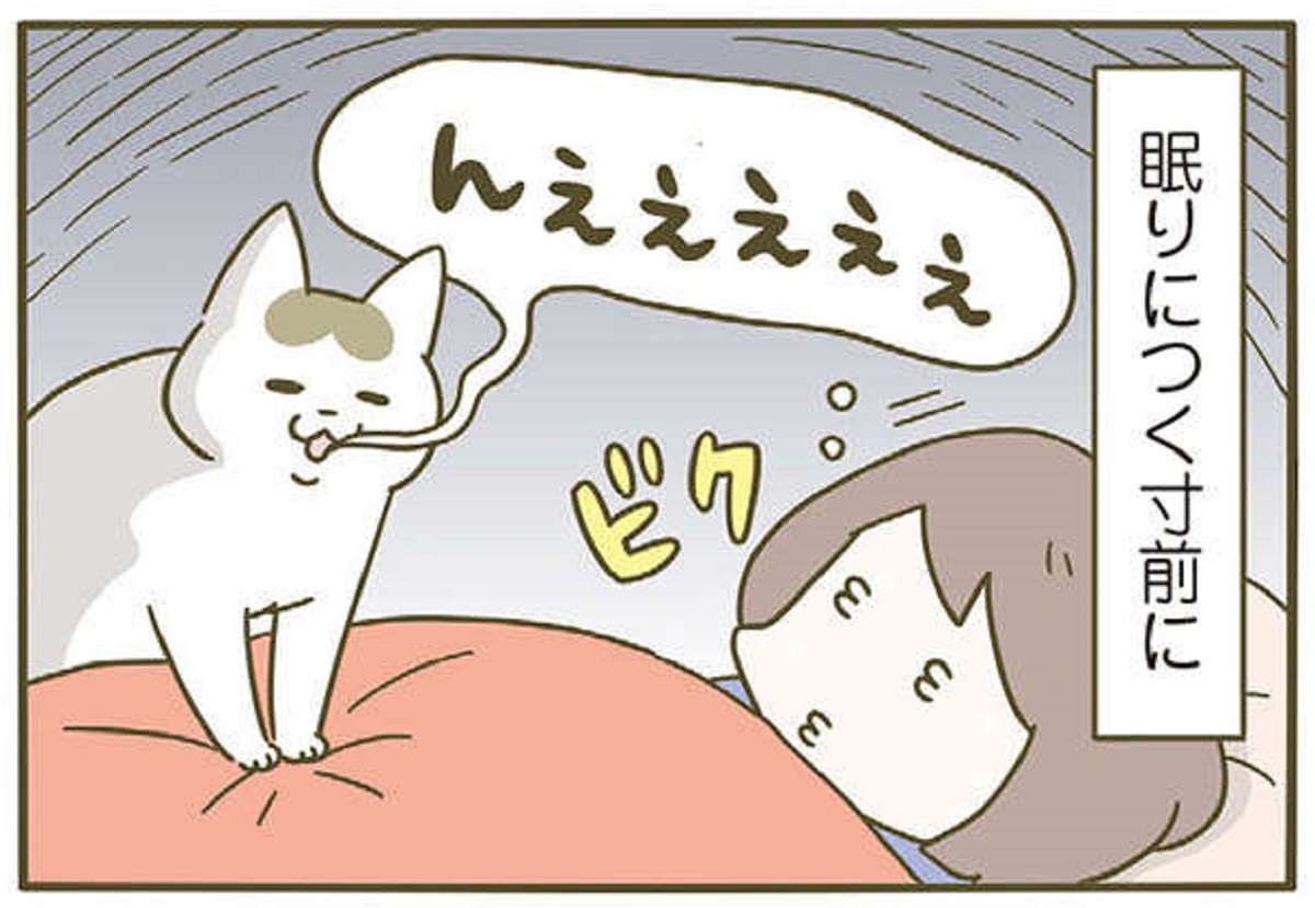 「寝る時に猫が布団に入ってくる」幸せな瞬間だが「自由すぎる猫」は／うちの猫がまた変なことしてる。5