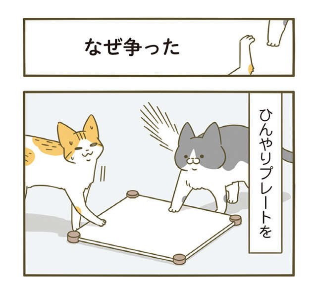 「なんか怖い」猫が飼い主の汗を舐めたら...豹変！／うちの猫がまた変なことしてる。4 1.jpg