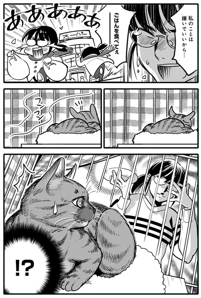 ご飯を拒否し続ける保護猫。見かねて刺身をあげてみたら...え？／ブリちゃん日記 15791744.webp