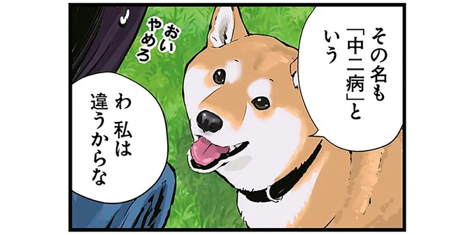 「中二病は伊達じゃない」警鐘を鳴らす柴犬。飼い主の見解は...／世界の終わりに柴犬と