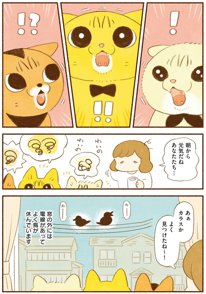 『しまねこ3姉妹と暮らしています　深まるきずな編』 13509075.webp