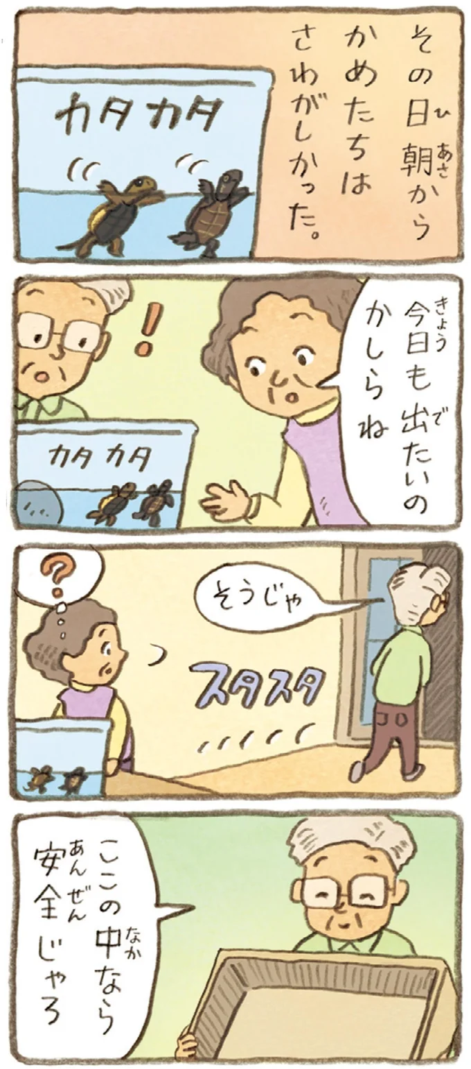 おばあちゃんとかめ 何げに楽しい2匹とのくらし 10-05.webp