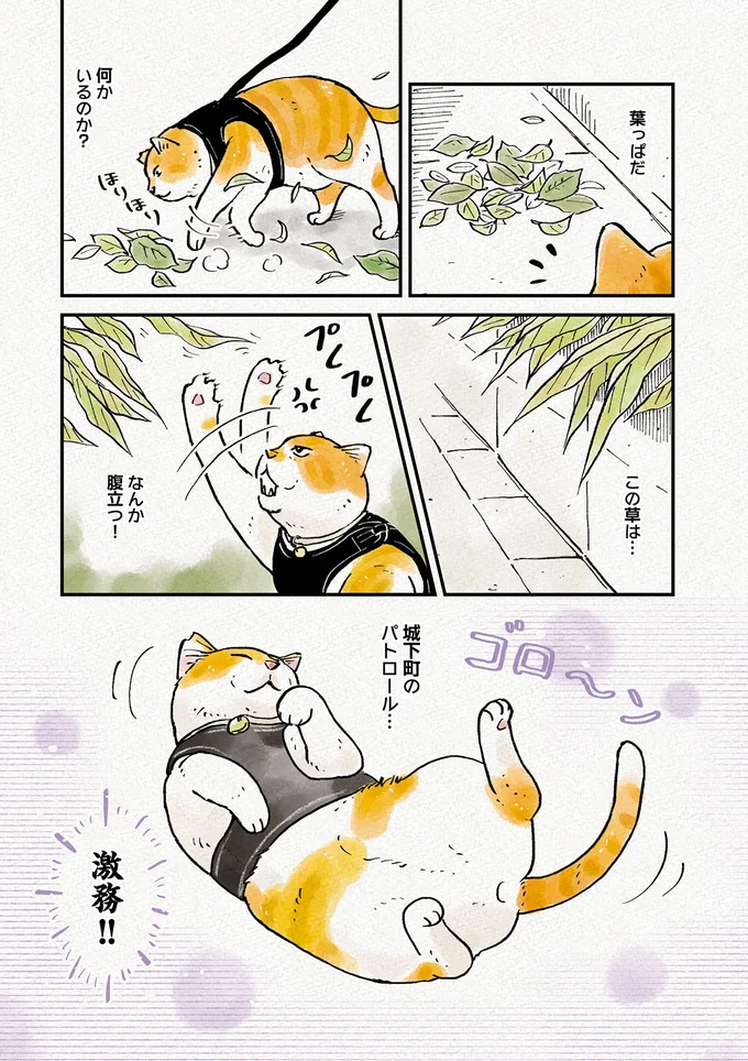 『元野良猫チャチャ 本日も見まわり中』 04-04.png