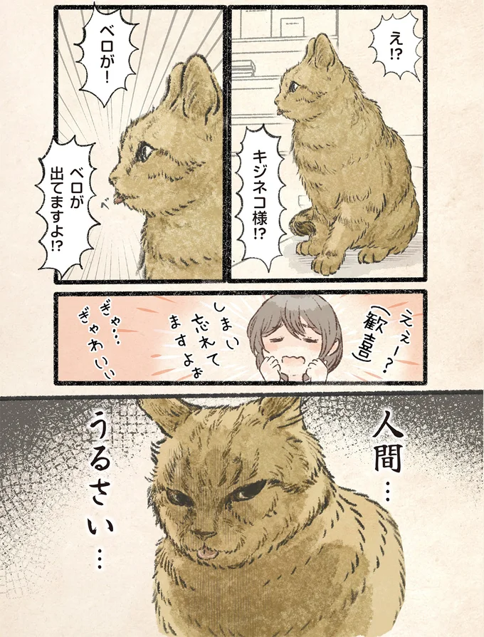 『今日もネコ様の圧が強い2』 91.webp