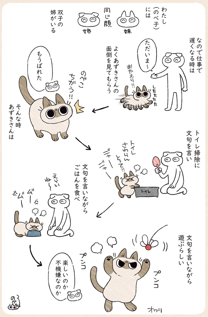 愛猫のモーニングルーティン。飼い主を起こしてから...／シャム猫あずきさんは世界の中心 04-02.png