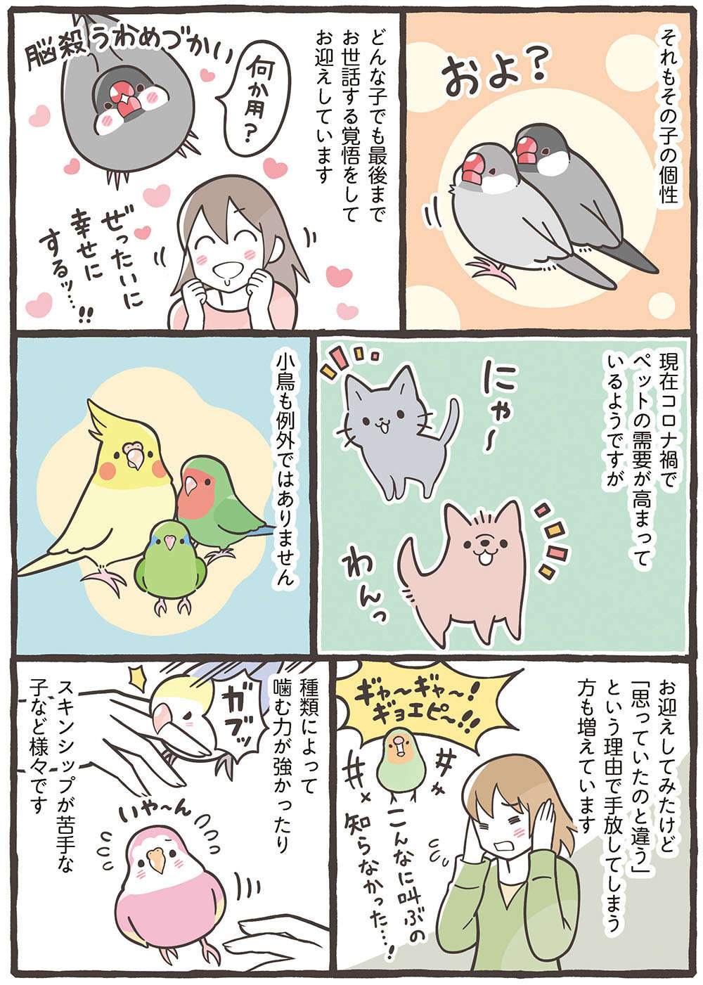 モフモフボディに悩殺上目遣い...癒しの鳥さんたち。お迎えしたいと思ったら／トリ扱い説明書 繝医Μ謇ｱ縺・ｪｬ譏取嶌_繝槭Φ繧ｫ繧咏判蜒・繝医Μ謇ｱ縺・ｪｬ譏取嶌_007.jpg